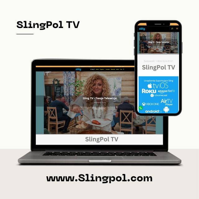 SlingPol.COM: projekt Strony Chicago